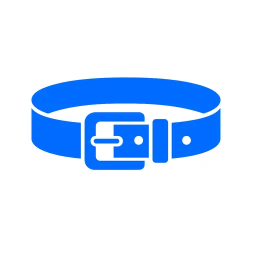 বেল্ট কালেকশন